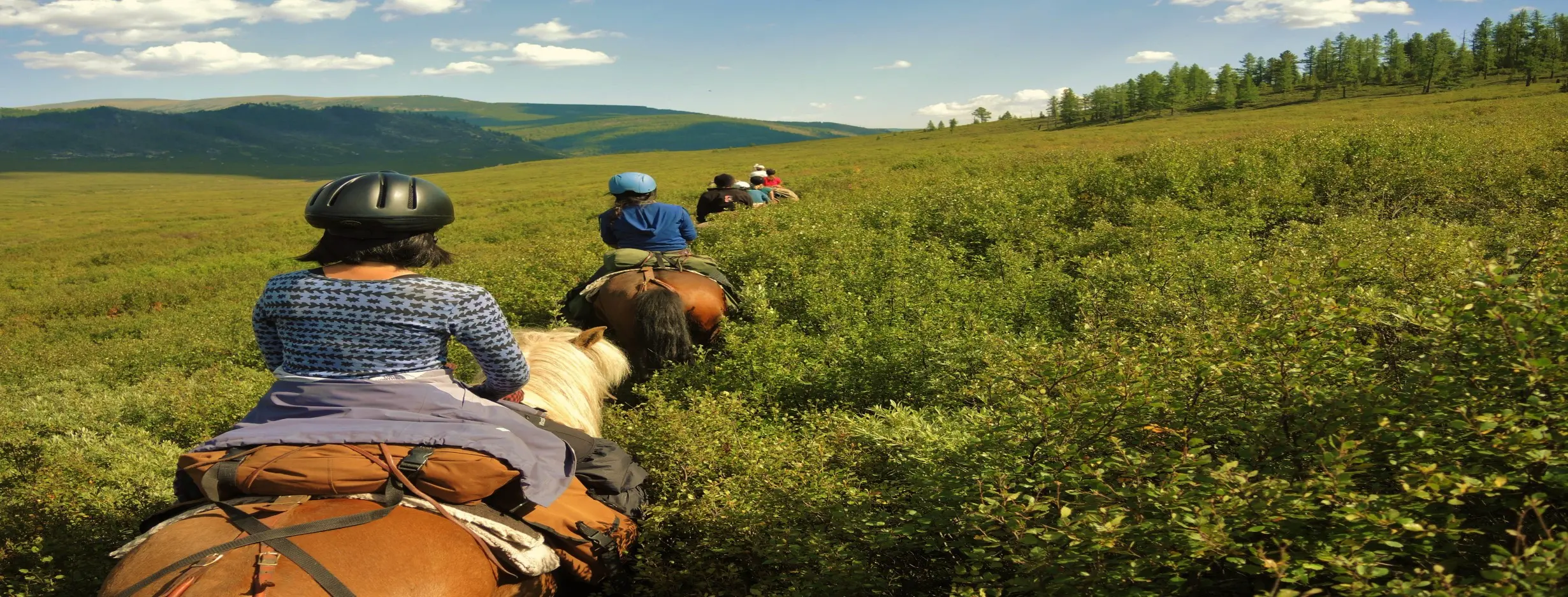 Image for Horse Trekking